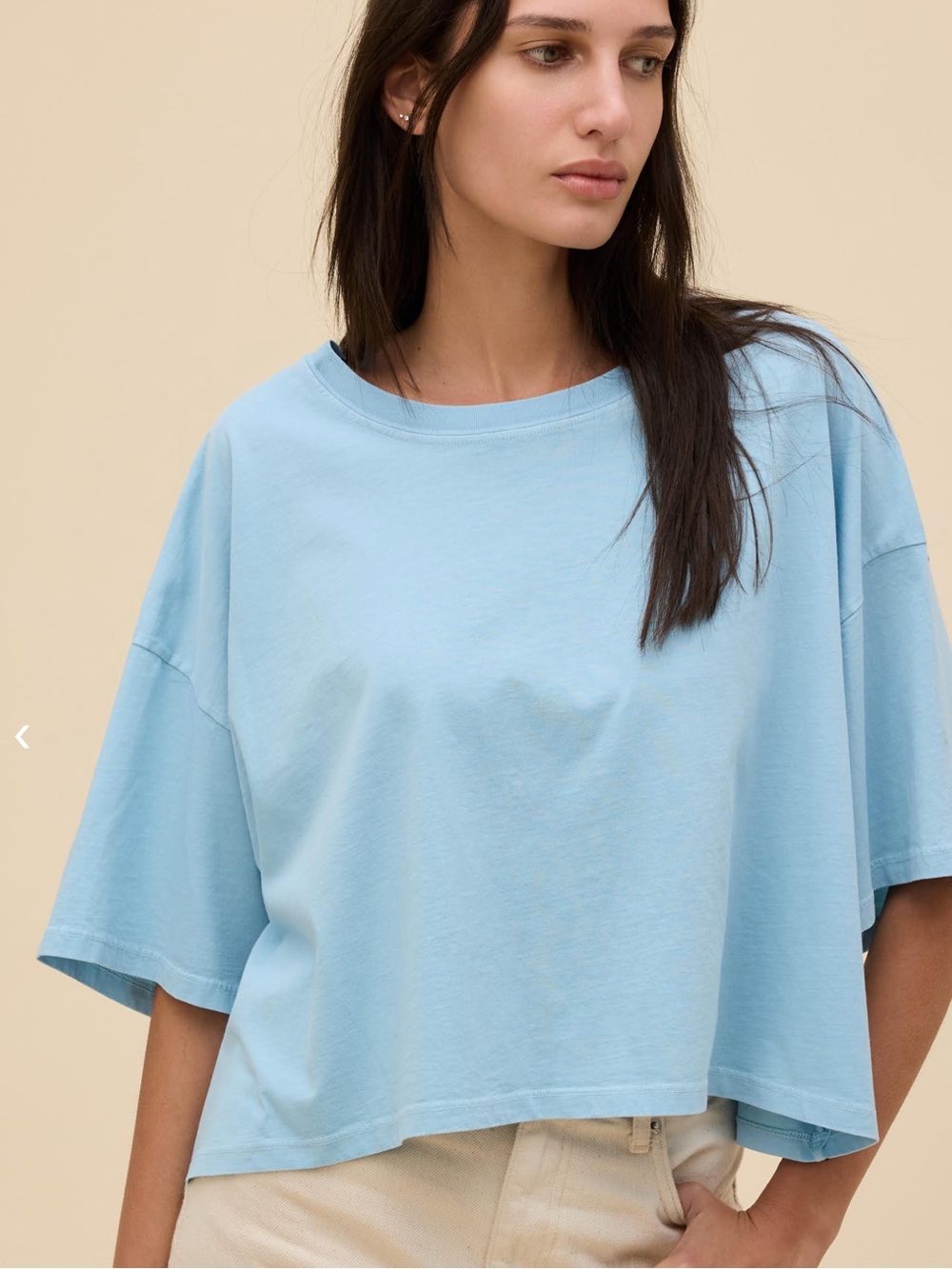Daydreamer Cropped OS Tee